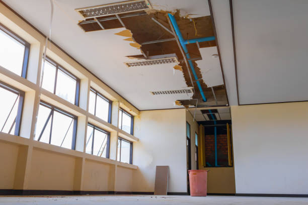 Best Fire Damage Restoration  in Bloomingdale, GA