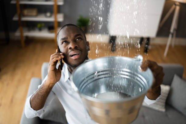 Best Carpet water damage restoration  in Bloomingdale, GA