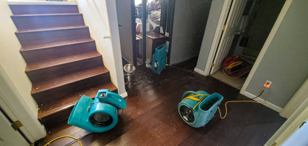 Best 24/7 water damage repair  in Bloomingdale, GA