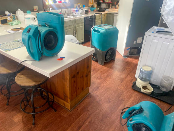 Best Mold removal after water damage  in Bloomingdale, GA