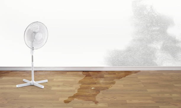 Best Local water damage restoration  in Bloomingdale, GA