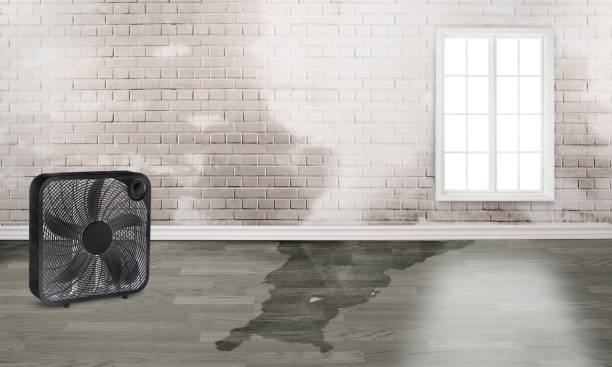 Best Flood damage cleanup  in Bloomingdale, GA