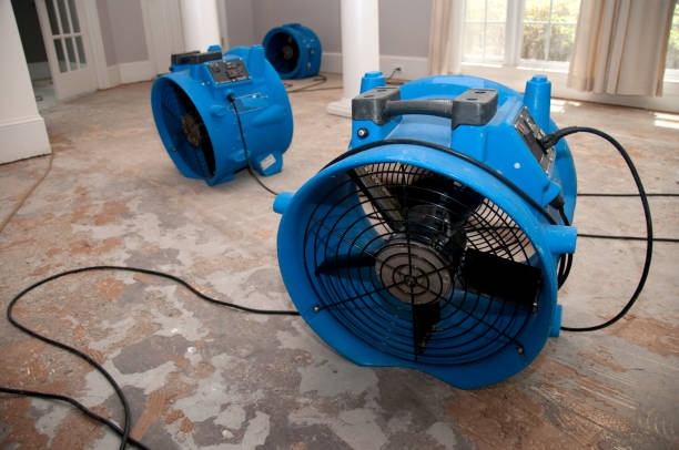  Bloomingdale, GA Water damage restoration Pros