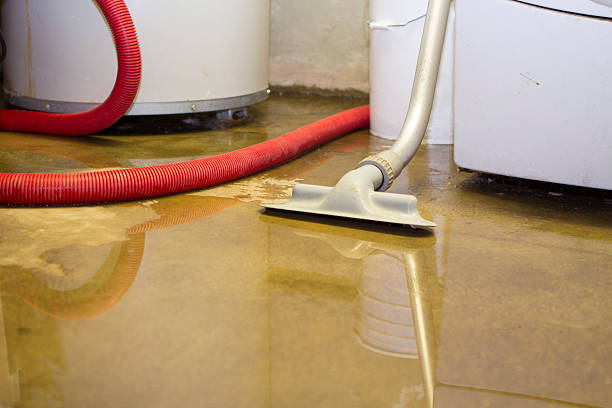 Best 24-hour water damage restoration  in Bloomingdale, GA