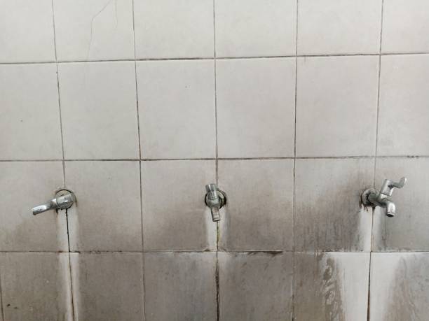 Best Local water damage restoration  in Bloomingdale, GA