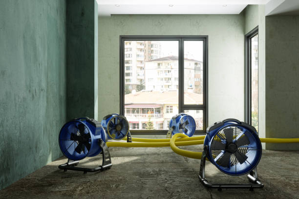 Best Ceiling water damage repair  in Bloomingdale, GA