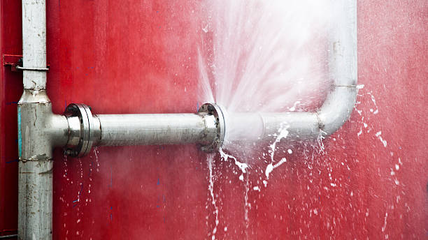 Best Professional water damage repair  in Bloomingdale, GA