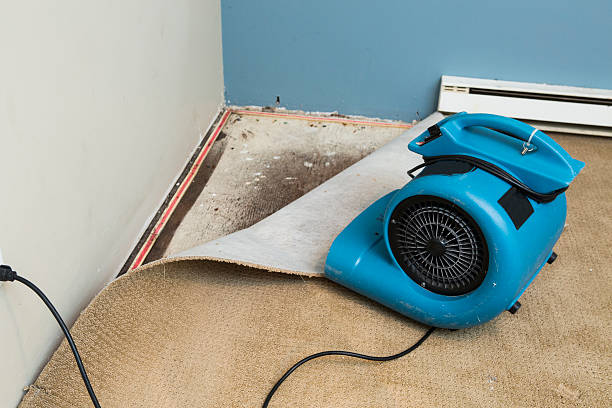 Best Flood restoration services  in Bloomingdale, GA